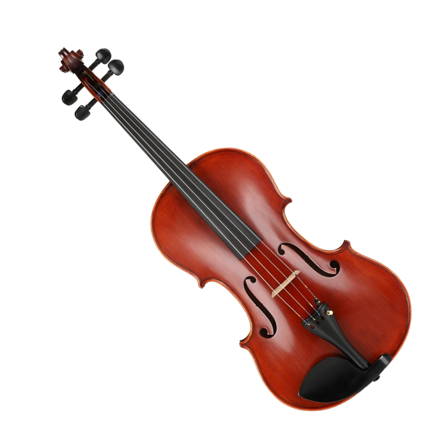 Viola